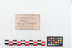 Etikett zu Bronzearmreif (NHMW-PRAE-024317)